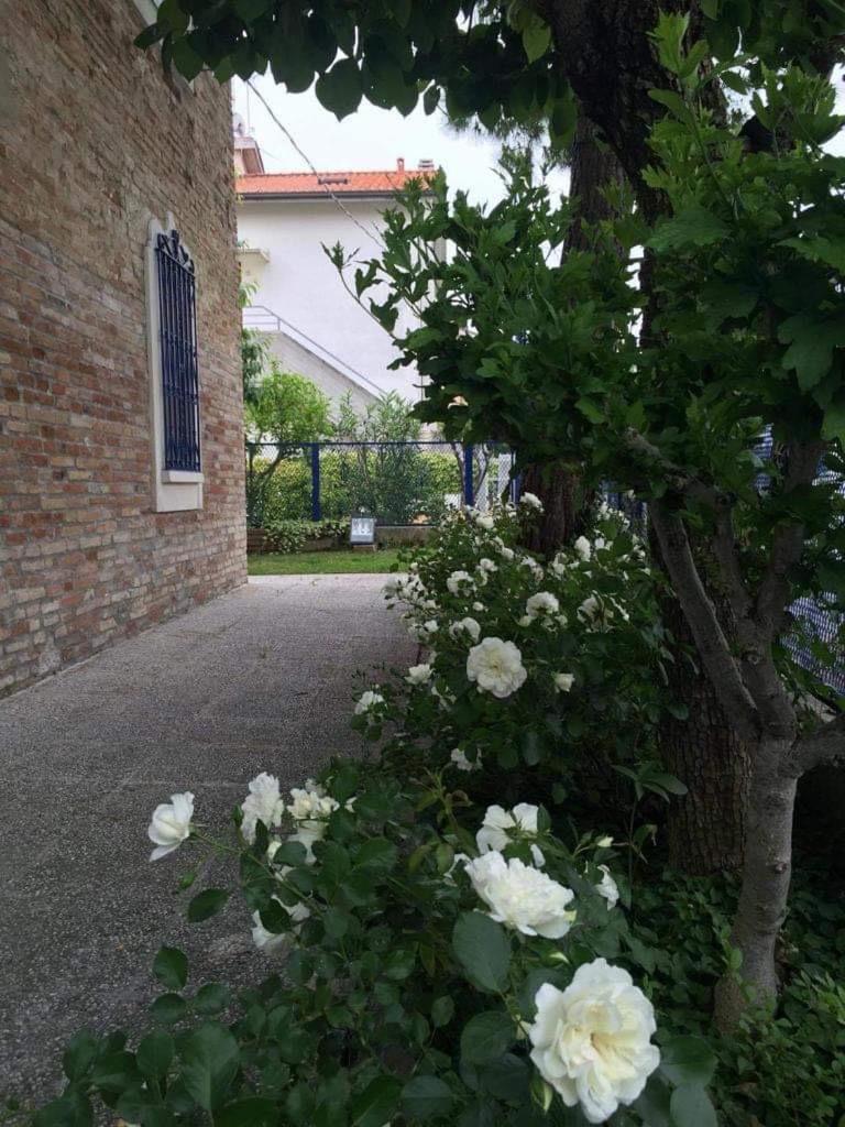 La Casa Della Cicogna Una Casa Al Mare Ideale Anche Per Gli Impegni Di Lavoro O Studio Villa Bellocchi Exterior photo