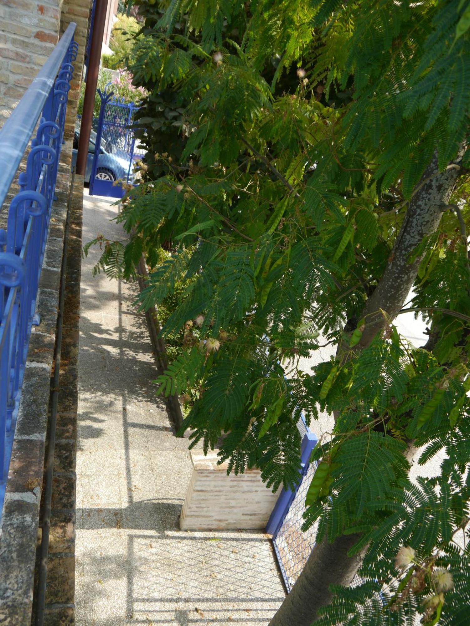 La Casa Della Cicogna Una Casa Al Mare Ideale Anche Per Gli Impegni Di Lavoro O Studio Villa Bellocchi Exterior photo